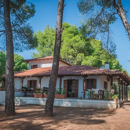 Feriehus Squirrel Front Villa, Metamorfosi (Sithonia)