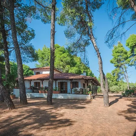 Squirrel Front Villa, Metamorfosi (Sithonia)