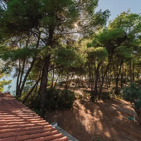 Squirrel Front Villa, * Metamorfosi (Sithonia)
