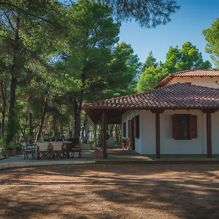 Squirrel Front Villa, Holiday home Metamorfosi (Sithonia)