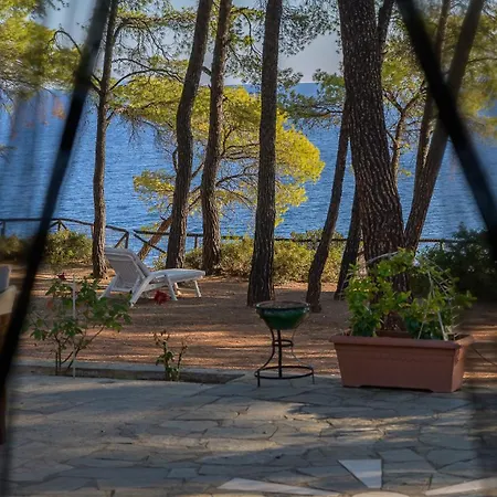 Squirrel Front Villa, Metamorfosi (Sithonia)