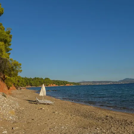 Squirrel Front Villa, Metamorfosi (Sithonia)
