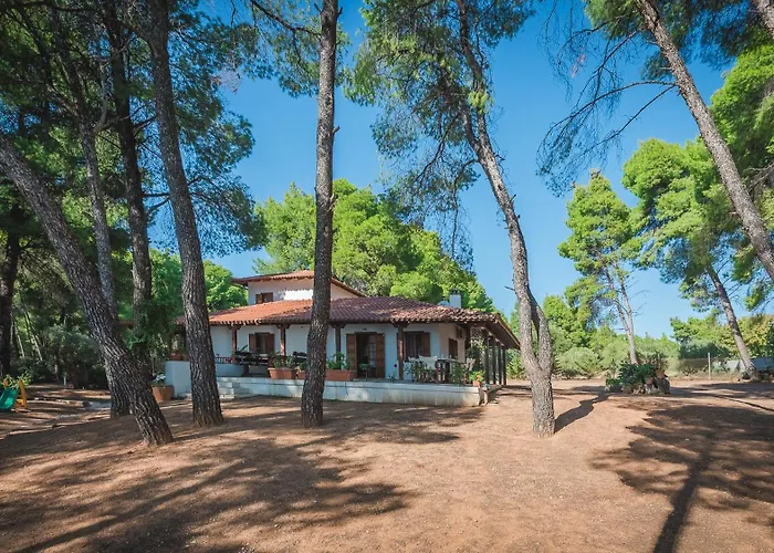 Squirrel Front Villa, Metamorfosi (Sithonia)