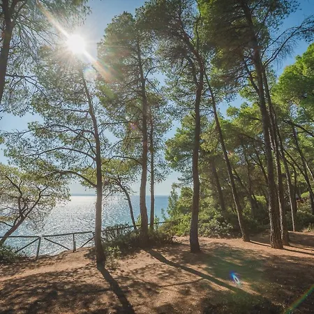 Squirrel Front Villa, Tatil Evi Metamorfosi (Sithonia)