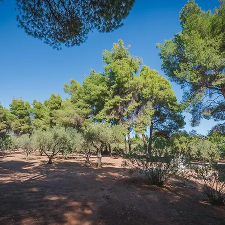 Squirrel Front Villa, Tatil Evi *