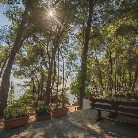 Tatil Evi Squirrel Front Villa,