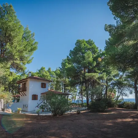 Tatil Evi Squirrel Front Villa, *