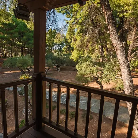 Tatil Evi Squirrel Front Villa, Metamorfosi (Sithonia)