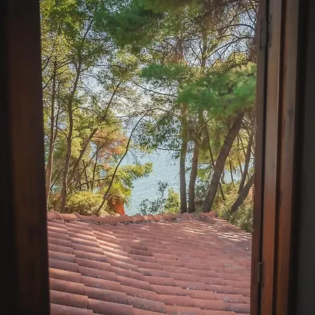 Squirrel Front Villa, Tatil Evi