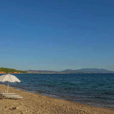 Tatil Evi Squirrel Front Villa, Metamorfosi (Sithonia)