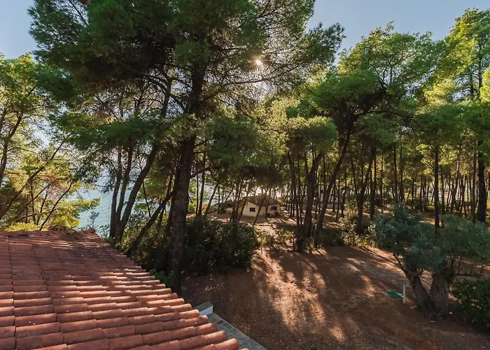 Squirrel Front Villa, * Metamorfosi (Sithonia)