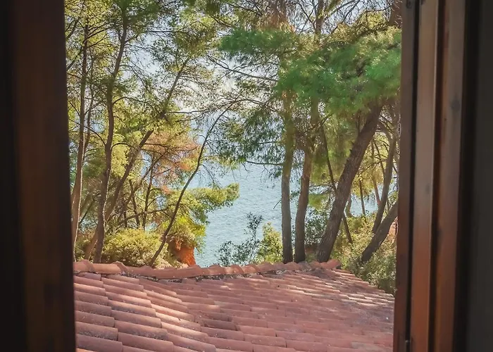 Squirrel Front Villa, Casa vacanze