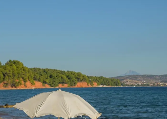 Casa vacanze Squirrel Front Villa,